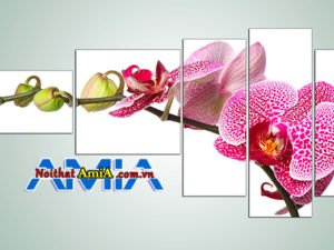 Tranh hoa lan AmiA 1032 ghép bộ