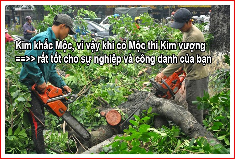 Màu xanh lá cây hợp mệnh Kim